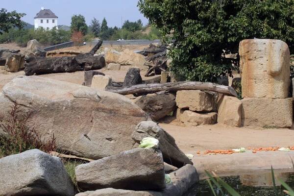 Obrazem: Sloní svátek a mejdan v pražské zoo