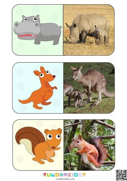 Printable Animals Matching Display Cards Activity for Toddlers | Preschool activities toddler, Toddler activities, Preschool activities
