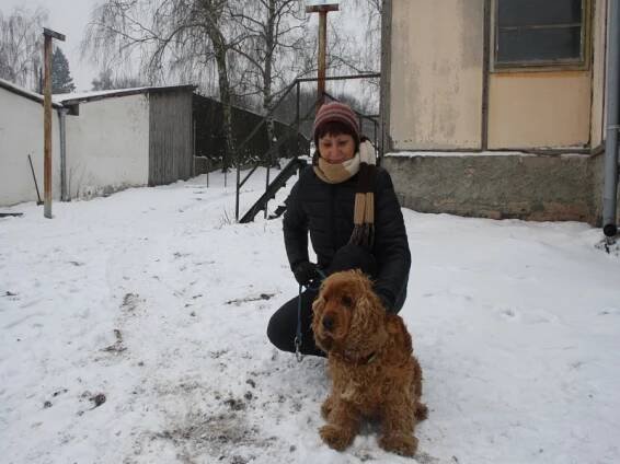 Psí útulek v Lysé představuje fenku křížence, Denise a Sama