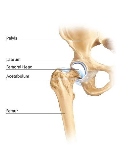 Pilates, Physiotherapy, Toronto, Hip