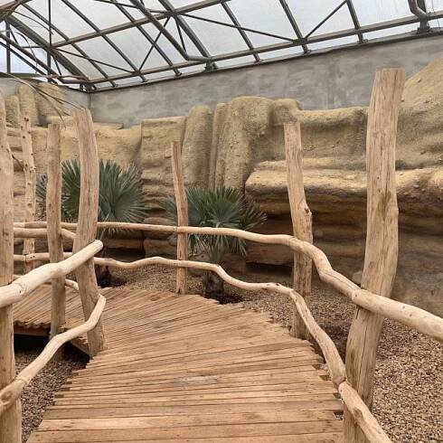 Pavilon Ptačí svět v Safari Parku Dvůr Králové vám přiblíží ostrov Madagaskar | foto: Václav Plecháček,  Český rozhlas