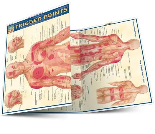 Trigger Points (Quick Study Academic)