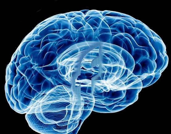 Elon Musk’s Neuralink is among several companies working on brain-computer interfaces