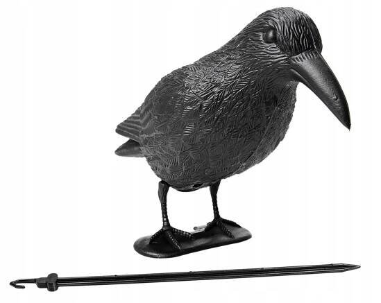 VELKÝ HAVRAN, ODPUZOVAČ PTÁKŮ, HOLUBŮ, ŠPAČKŮ 36 CM