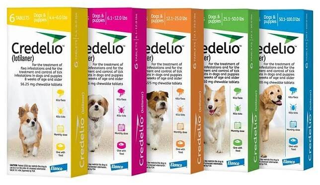 Credelio Flea & Tick Chewable Tablets for Dogs & Puppies