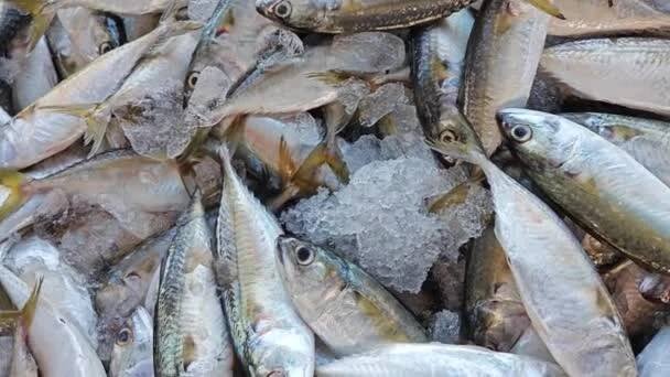 Rozmanitost makrel na prodej na trhu — Stock záběr