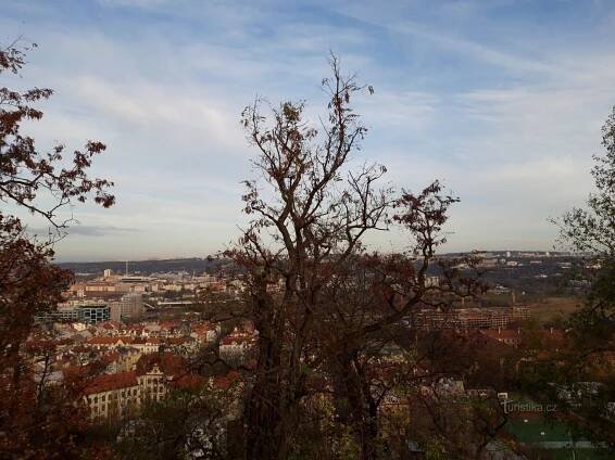 Praha a Vítkův vrch