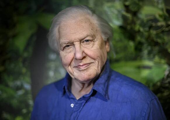 AD MT Attenborough 002