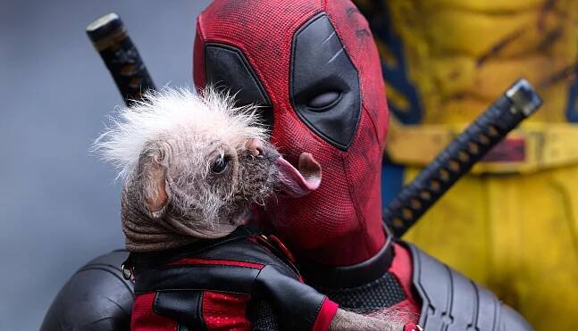 Box Office: 'Deadpool & Wolverine' Triumphs At No. 1, 'The Crow' Bombs