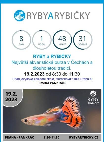 _  Akvaristická burza  Praha/Pankrác  - 19.2.2023