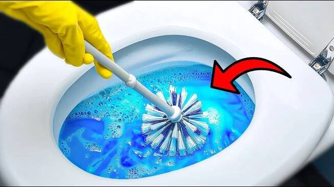 The Cleaning Lady at the Hotel taught me these tricks!Cleaning the toilet!