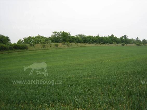 Stradonice, oppidum Hradiště - archeolog.cz