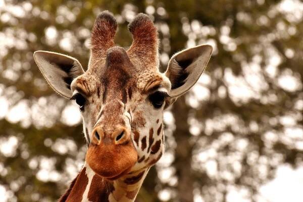 Zoo Olomouc