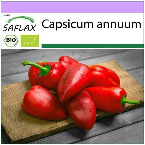 SAFLAX Bio - pálivá chilli paprička - Barak - 15 semen - Capsicum annuum