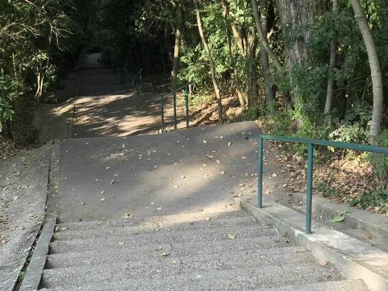 forest pathway stairs