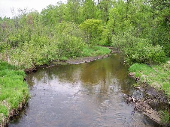 Blueberry River (Minnesota)