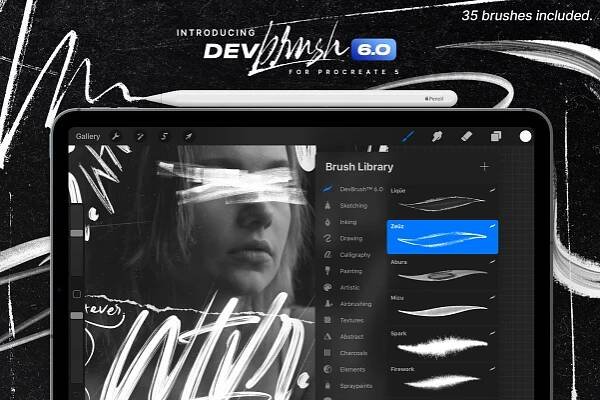 DevBrushTM 6.0 for Procreate
