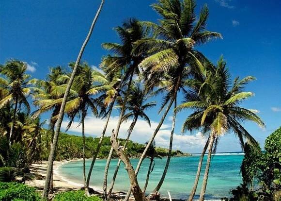Sugar Reef Estate - Grenada , Caribbean - Private Islands for Sale
