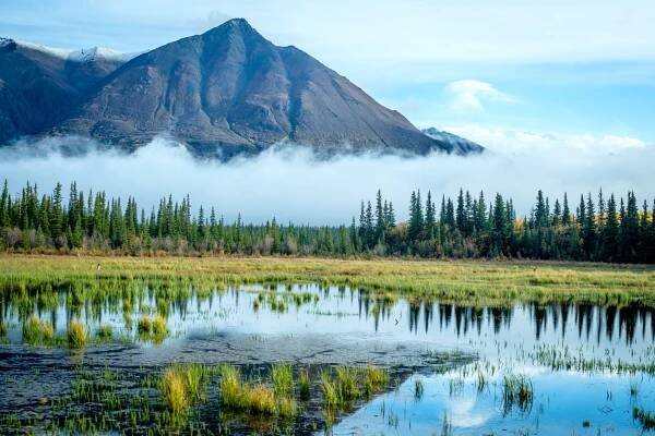 Národní park Wrangell-St. Elias se rozkládá na 13,2 milionu akrů a je největší v USA.