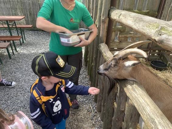 Papouščí ZOO Bošovice - Oficiální stránky MŠ Rousínov