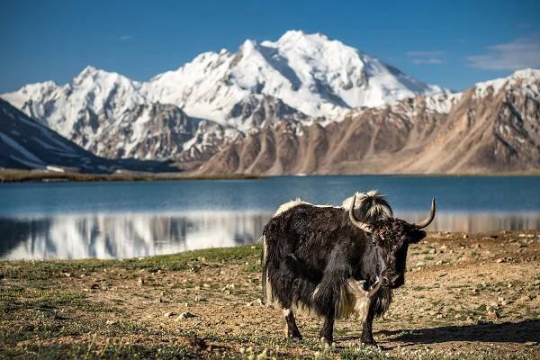 Kyrgyzstán a Tádžikistán | KolemSvěta.cz