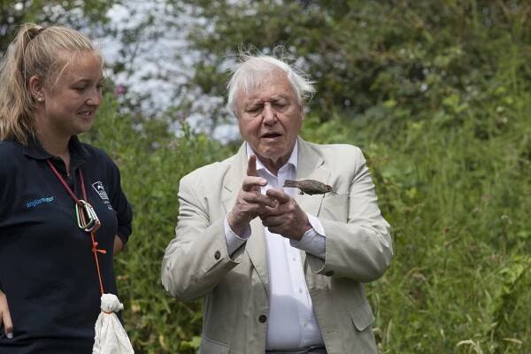 Sir David Attenborough and a Very Nervous Me - EricRenno.com