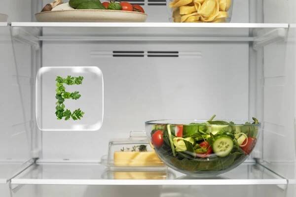 Lednice GORENJE NRR9185EAXL