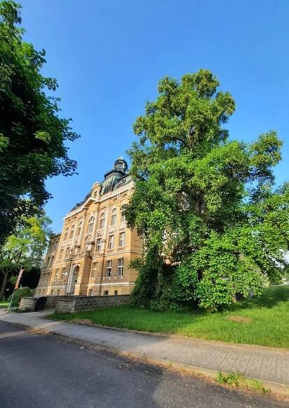 Gymnázium Varnsdorf