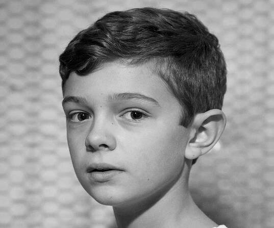 Noah Jupe Biography - Facts, Childhood, Family Life & Achievements