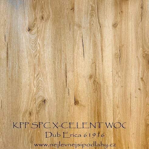 KPP SPC X-CELLENT WOOD - Dub Erica 80101