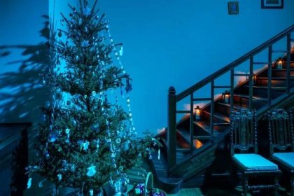 Zámek Loučeň znovu otevírá svoji expozici prohlídkami Příběh vánočního stromečku s dvaceti rozzářenými vánočními stromky