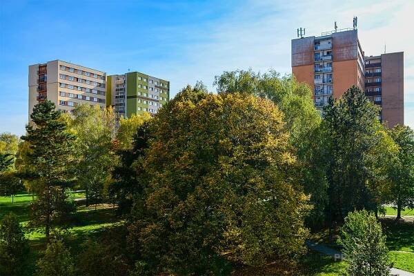 Prodej Byt 1+1, Petra Křičky, Moravská Ostrava a Přívoz, Ostrava, Ostrava-město