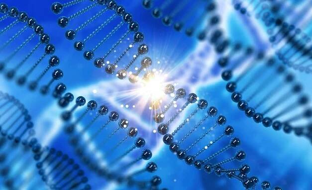Vědci v USA potvrdili posun v léčbě vzácných nemocí pomocí CRISPR