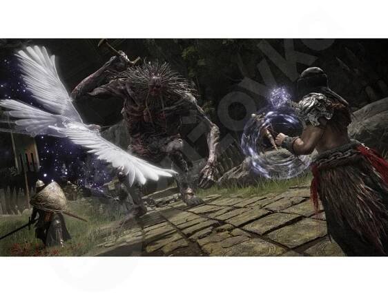 Elden Ring (PS4)