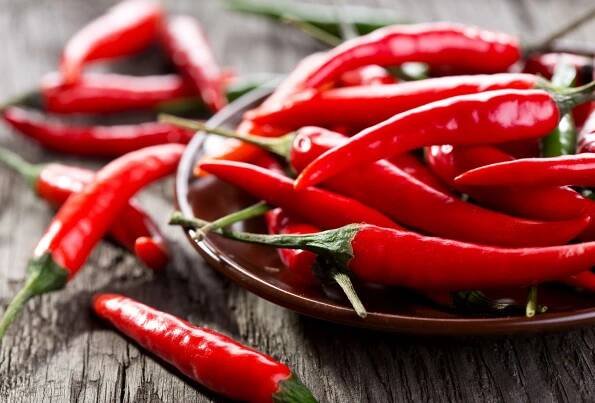 Chilli fest plechová huba 2024