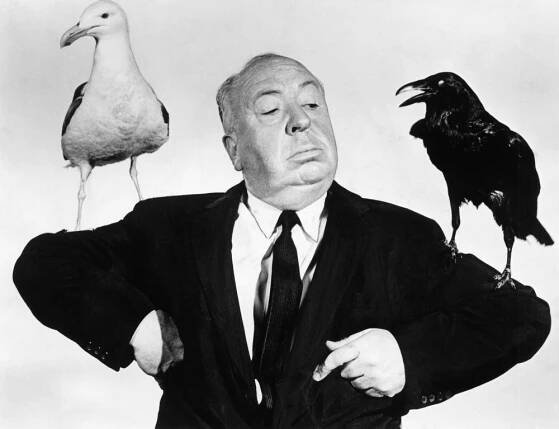 THE BIRDS, Alfred Hitchcock, 1963