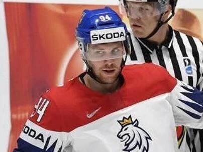 Radek Faksa - Sport.cz