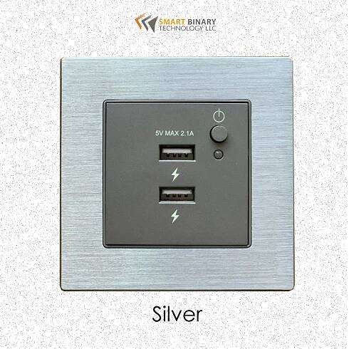 Dual USB Port with Switch | MODULAR PANELS | Door Lock