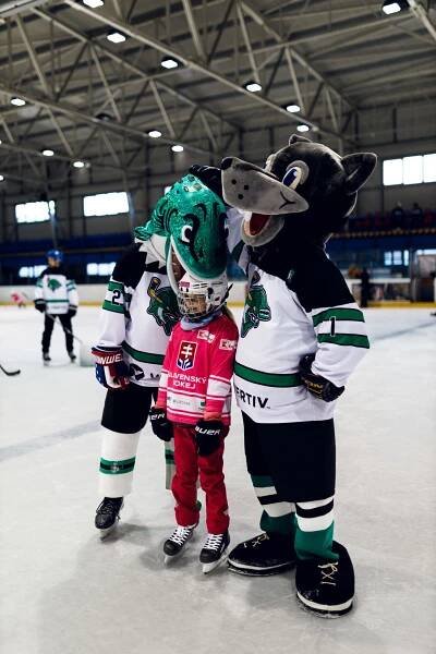Hokejový klub Nové Mesto nad Váhom -