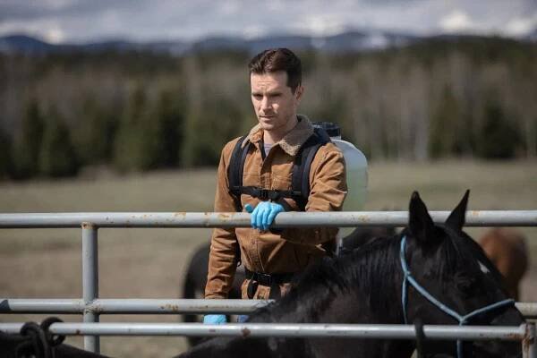 Graham Wardle Triumphantly Riding a Horse Wallpaper
