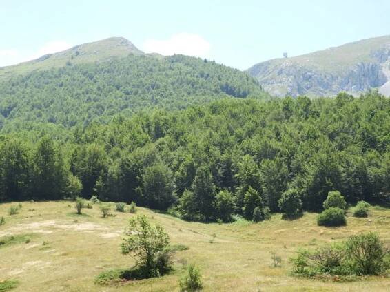 Galičica, Makedonie