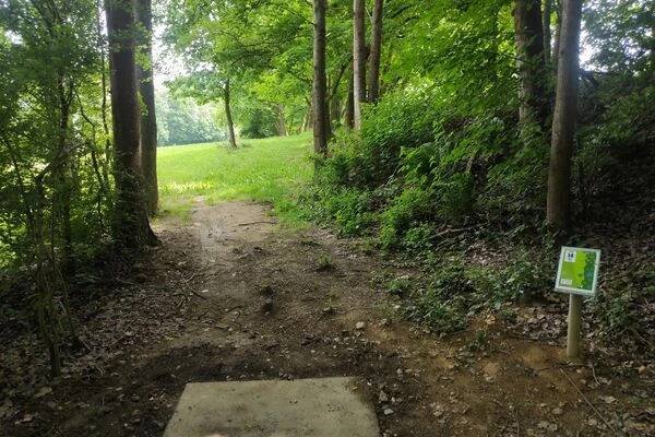 Discgolfové hřiště Myslivna foto 1