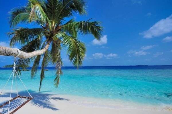 BANDOS MALEDIVES 4* - Dovolená Maledivy - Severní Atol Male ✅ [TOP DESTINACE] | Kentlucky