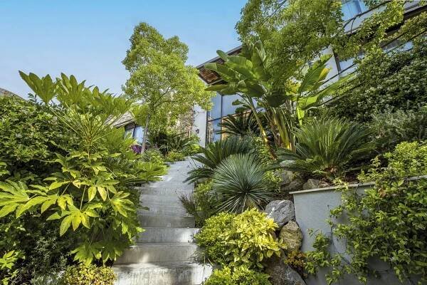 Lush garden - Conception paysagère et d’entretien de jardin, particuliers, copropriétés ou professionnels. Rénovation, entretien