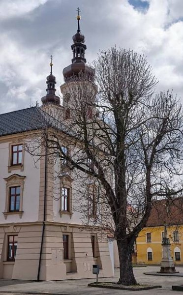 Photos - Ivanovice na Hané - Radnice - 08.04.2021