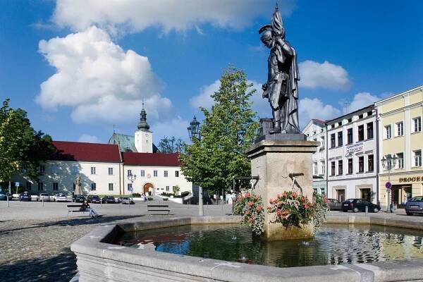 Vyberte si strom, město jej zaplatí