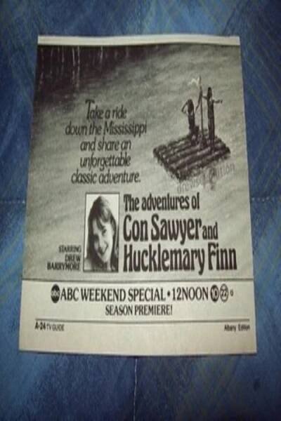 Adventures of Con Sawyer and Hucklemary Finn, The (1985)