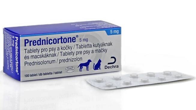 Veterinární léčiva pro malá zvířata – Sevaron