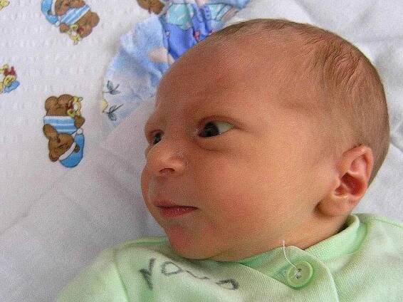 Mamince Denise Šípové z Nového Boru se 24. ledna v 0:38 hodin narodil syn Filip Müller. Měřil 51 cm a vážil 3,20 kg. 