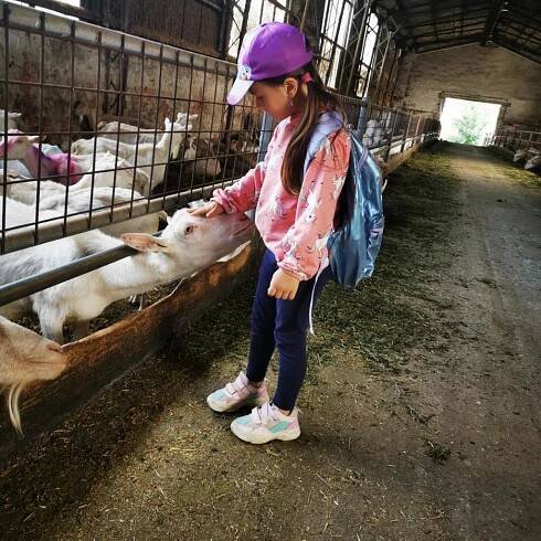 Kozí farma Pěnčín - předškoláci 37